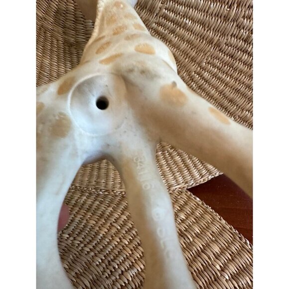 Sophie la Girafe Teething Toy - Picture 8 of 10